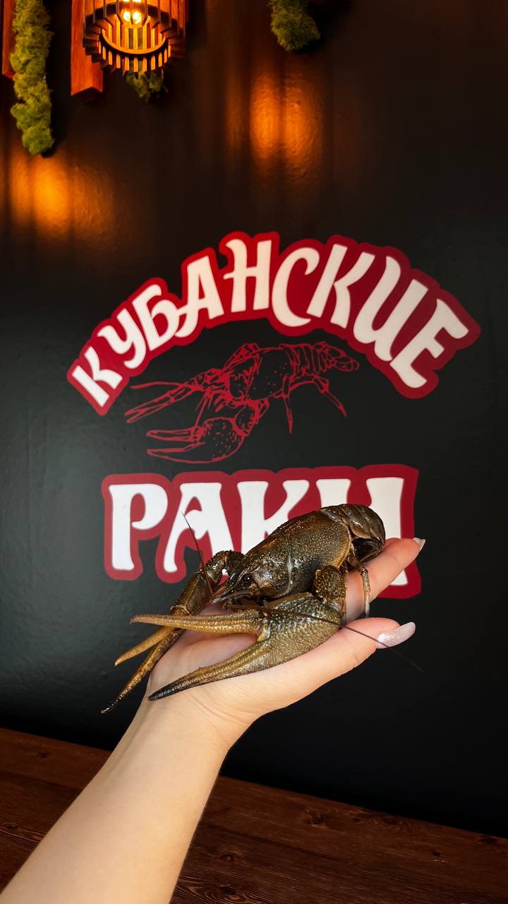 Отборный плюс Отборный плюс