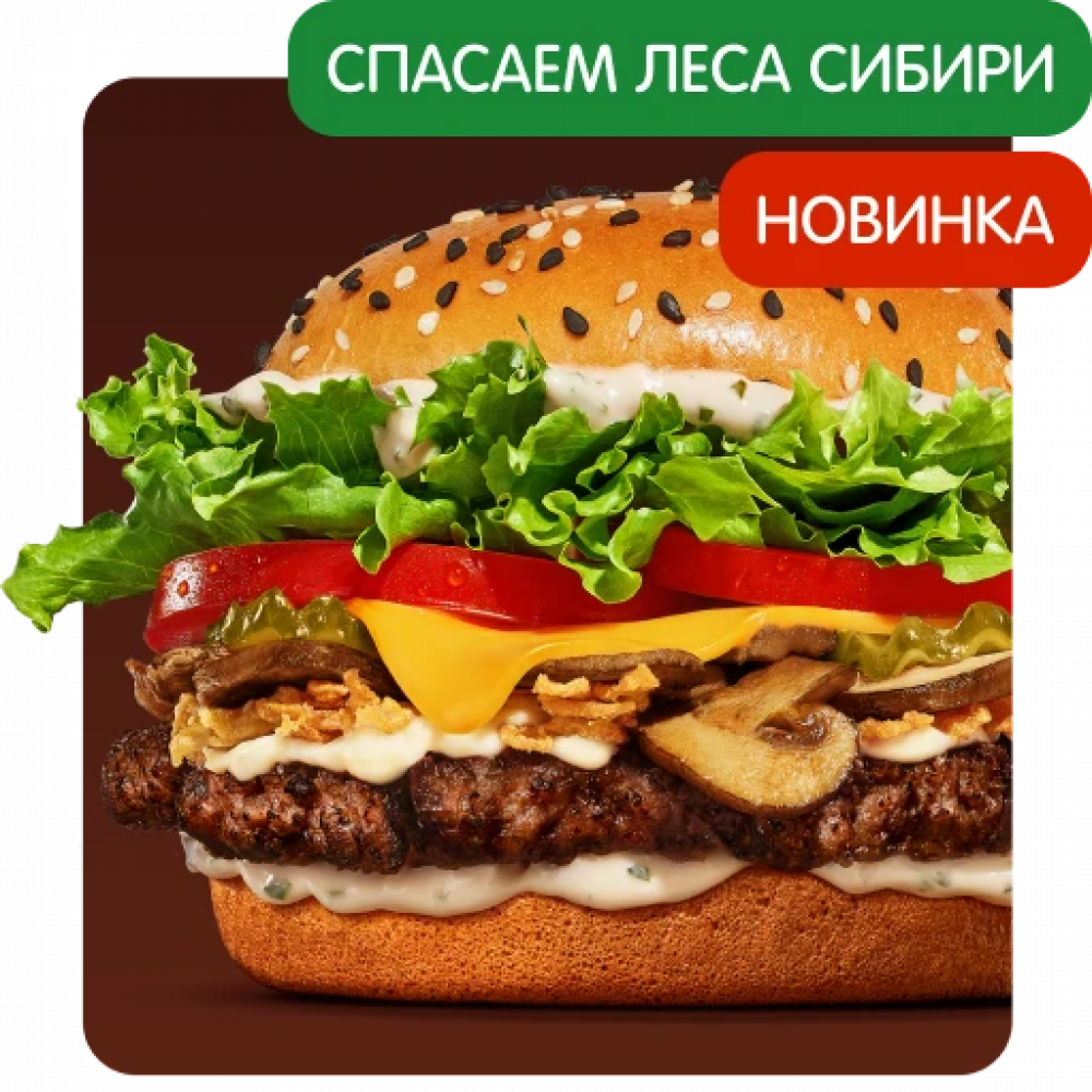 Ангус Сибирский Ангус Сибирский