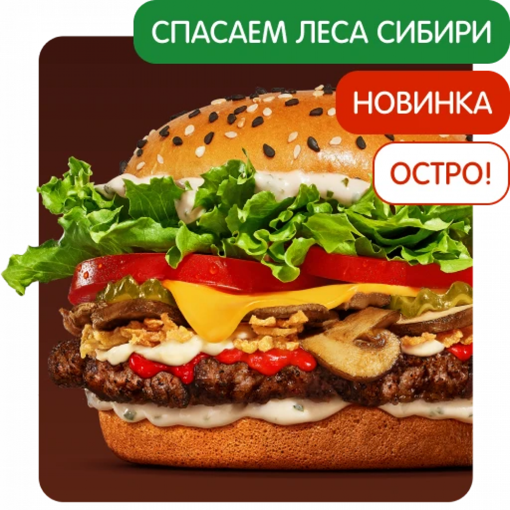 Острый Ангус Сибирский Острый Ангус Сибирский