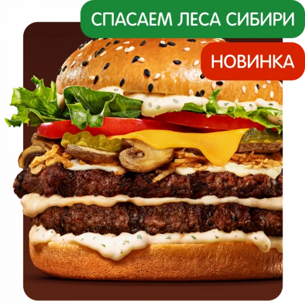 Ангус Сибирский Двойной Ангус Сибирский Двойной