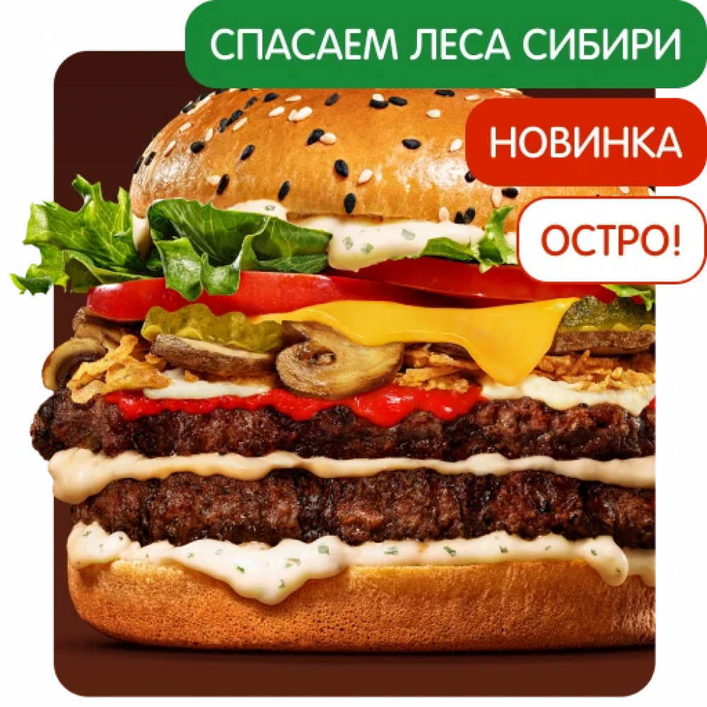 Острый Ангус Сибирский Двойной Острый Ангус Сибирский Двойной