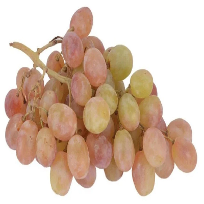 Виноград Тайф красный