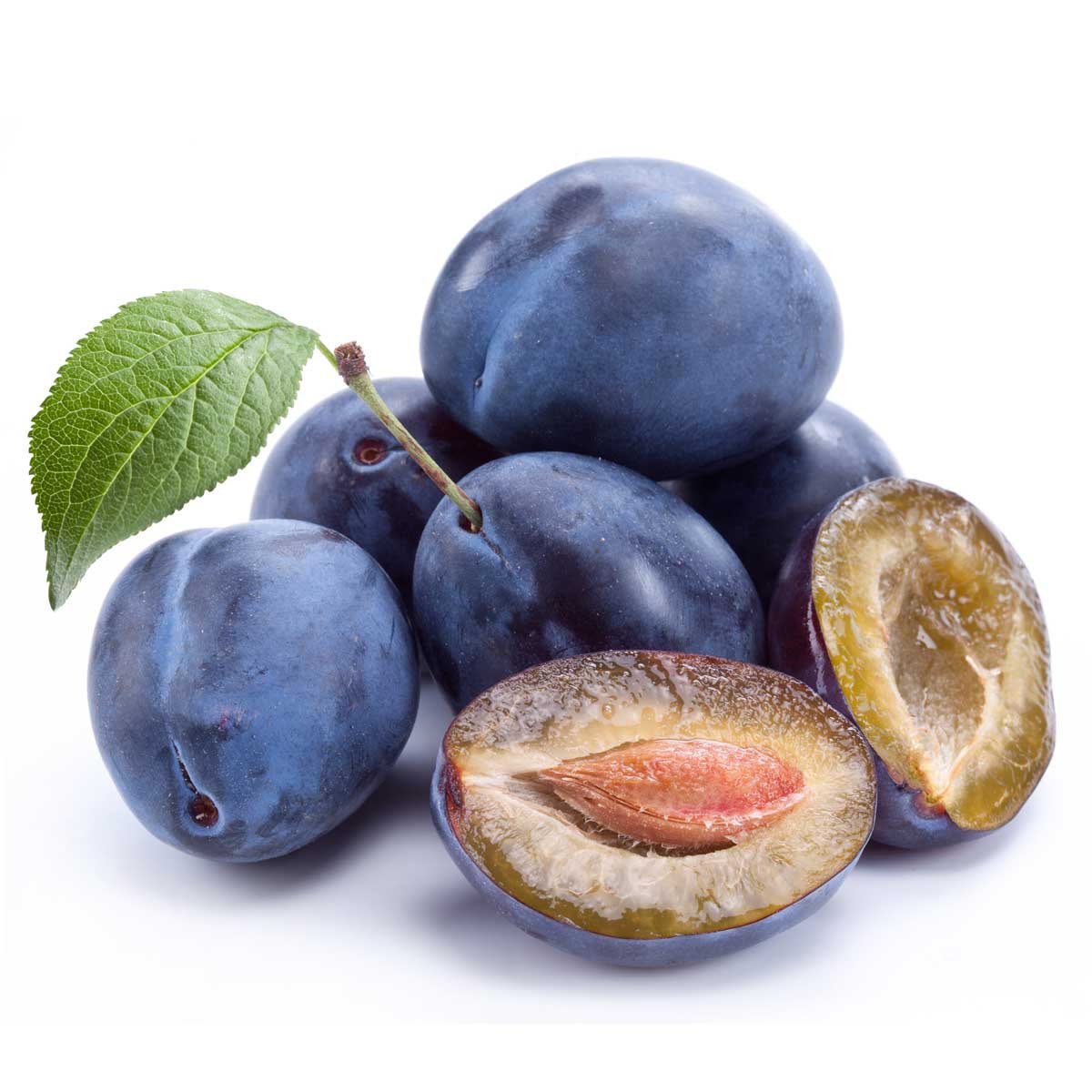 Слива чернослив мелкий