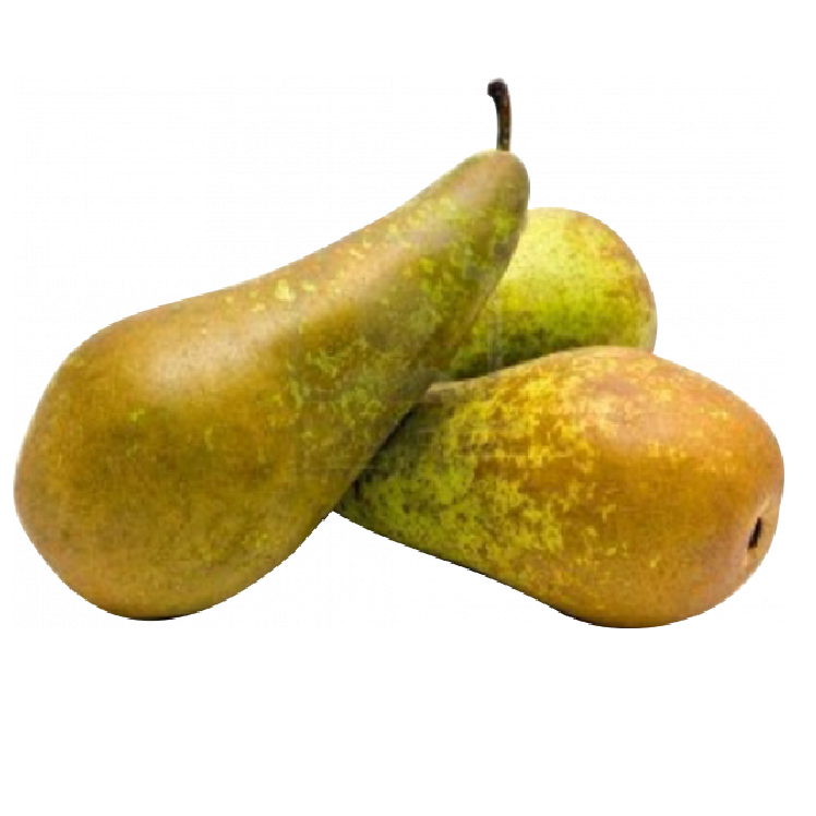 Груша конференция