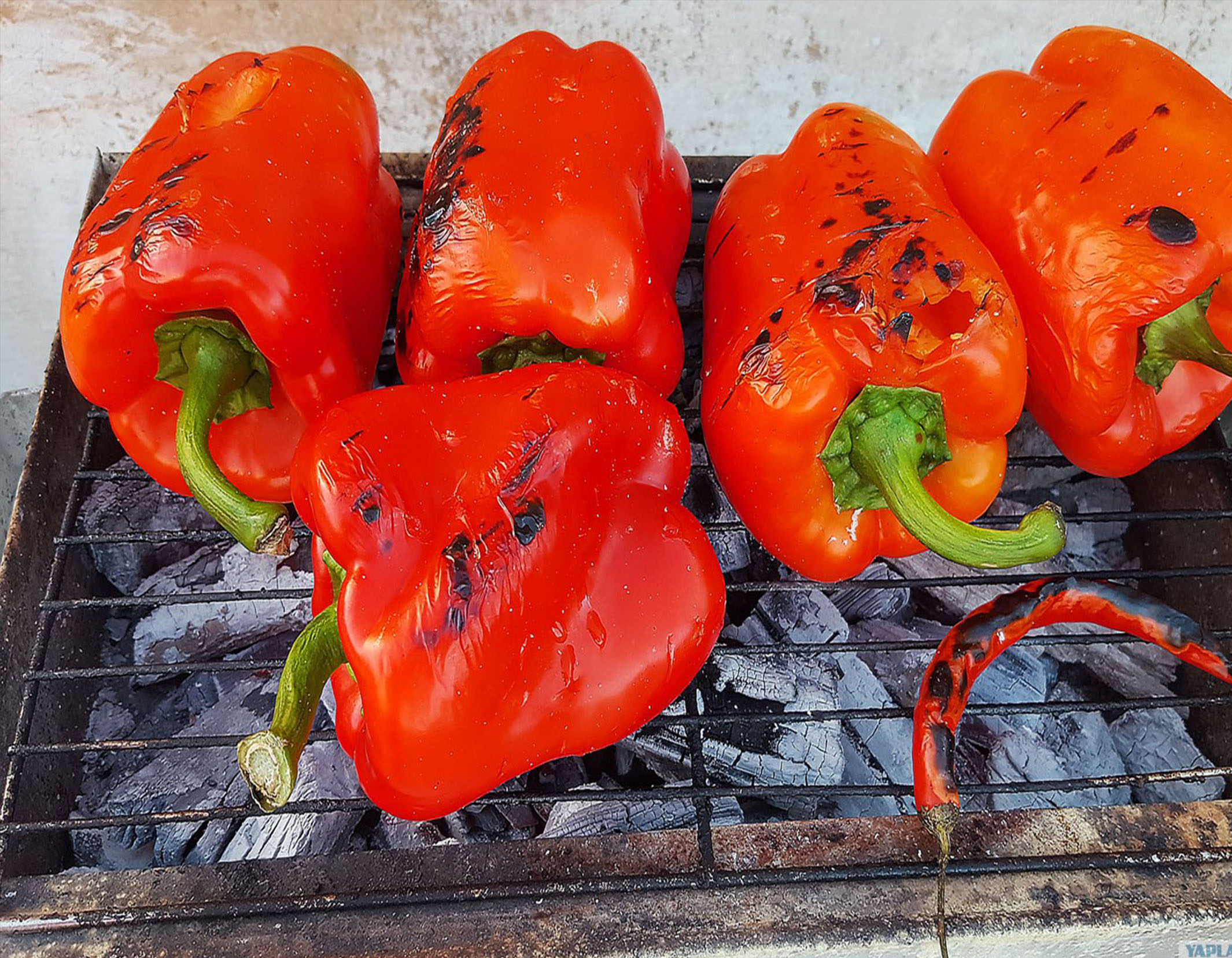 Болгарский перец на огне
