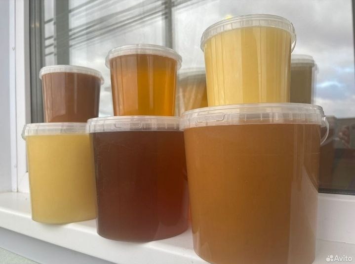 Мед алтайский