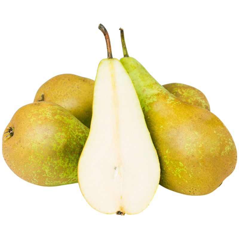 Груши Конференция