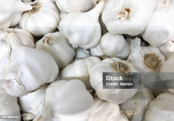 Чеснок вес Чеснок вес