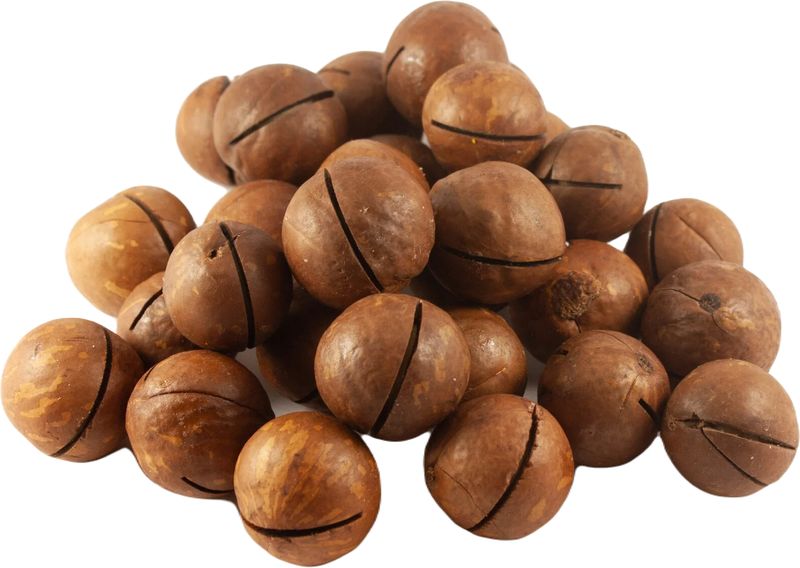 Орех Макадамия Орех Макадамия