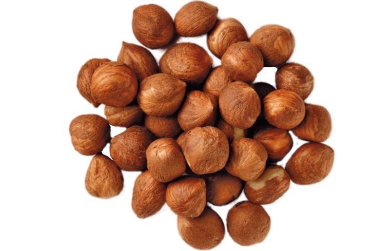 Фундук Фундук