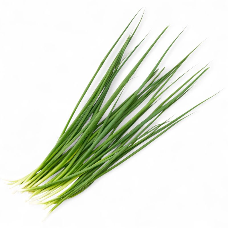 Лук зеленый Лук зеленый