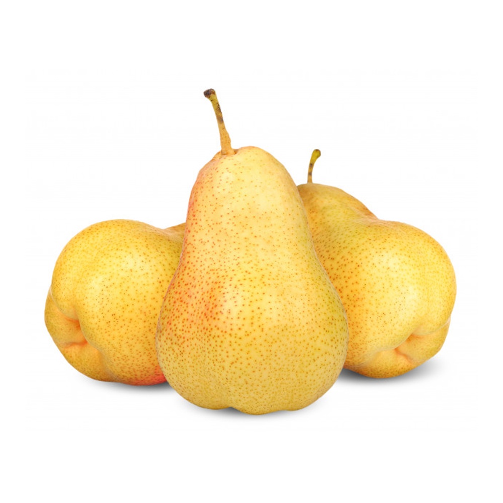 Груша Форел Груша Форел