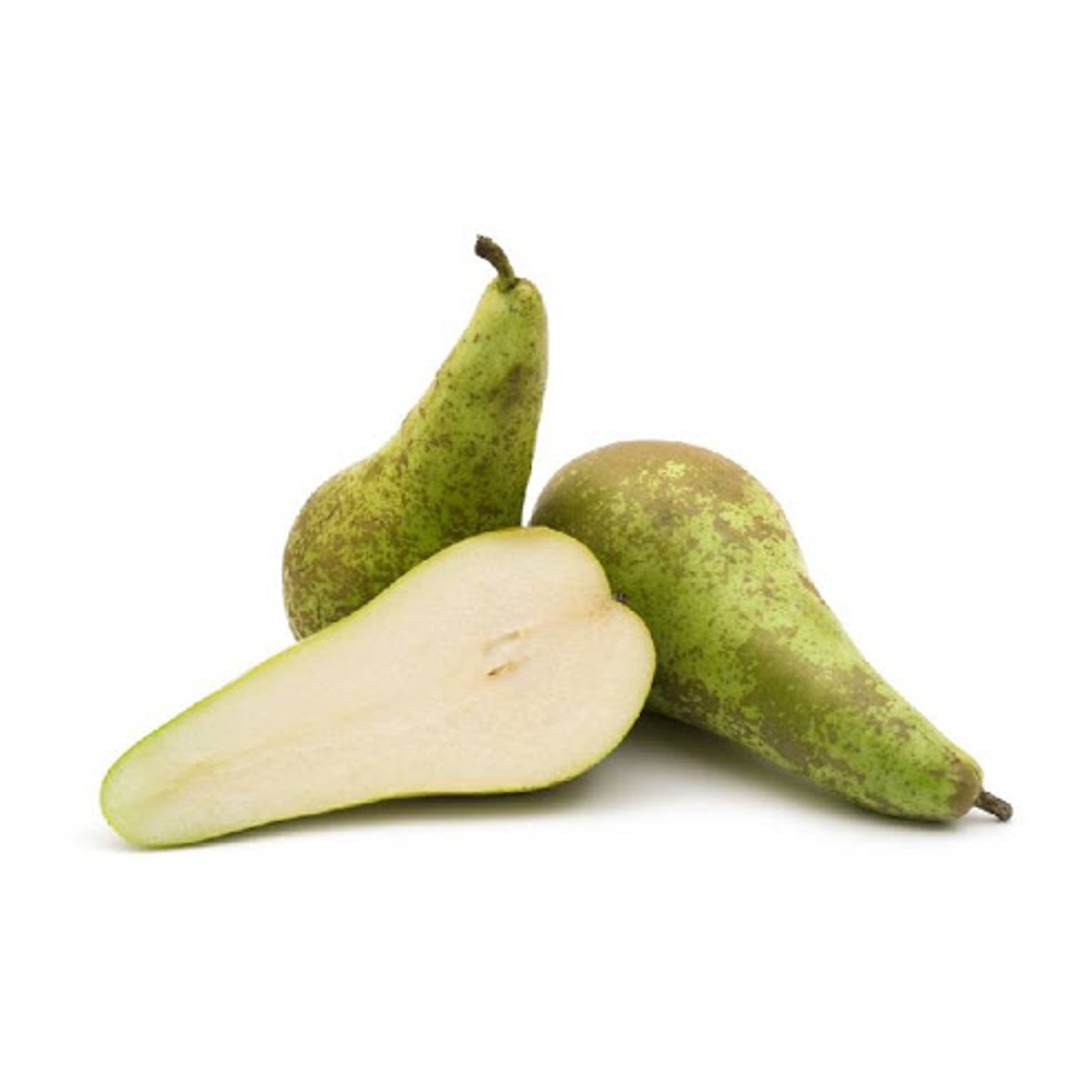 Груша Конференция Груша Конференция