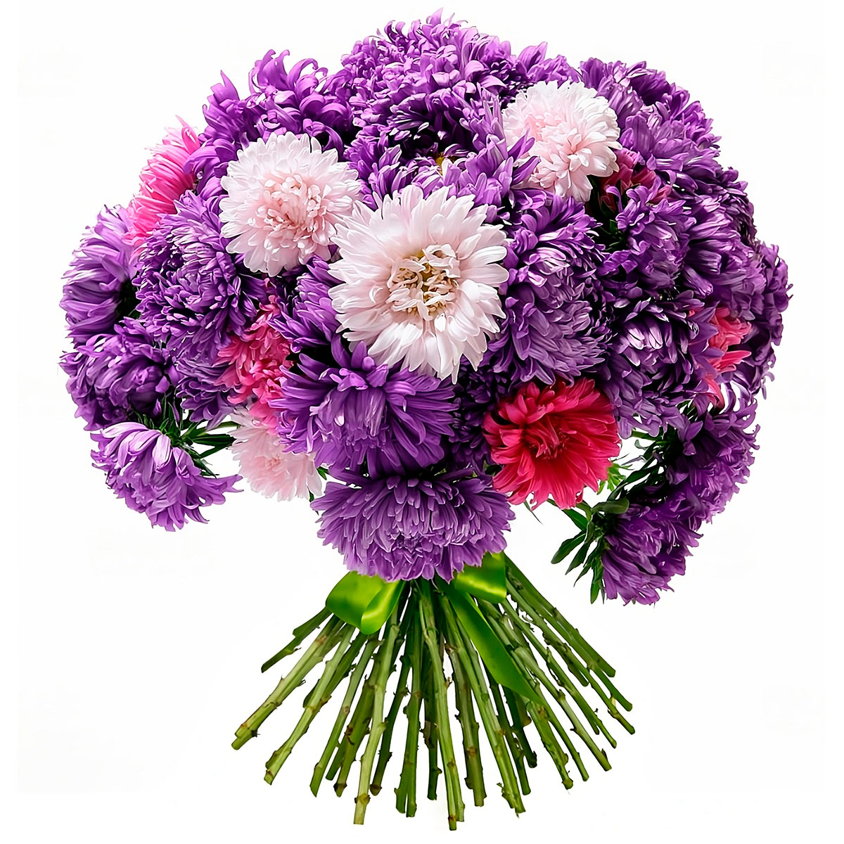 Хризантема одноголовая микс Хризантема одноголовая микс