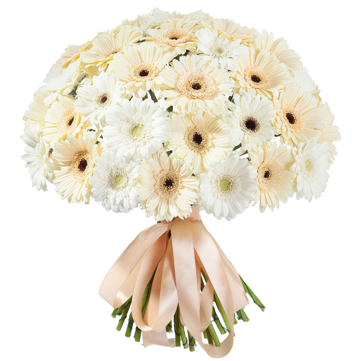 Гербера микс Гербера микс