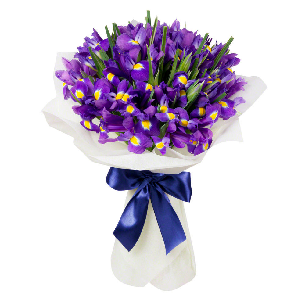 Ирис фиолетовый Ирис фиолетовый