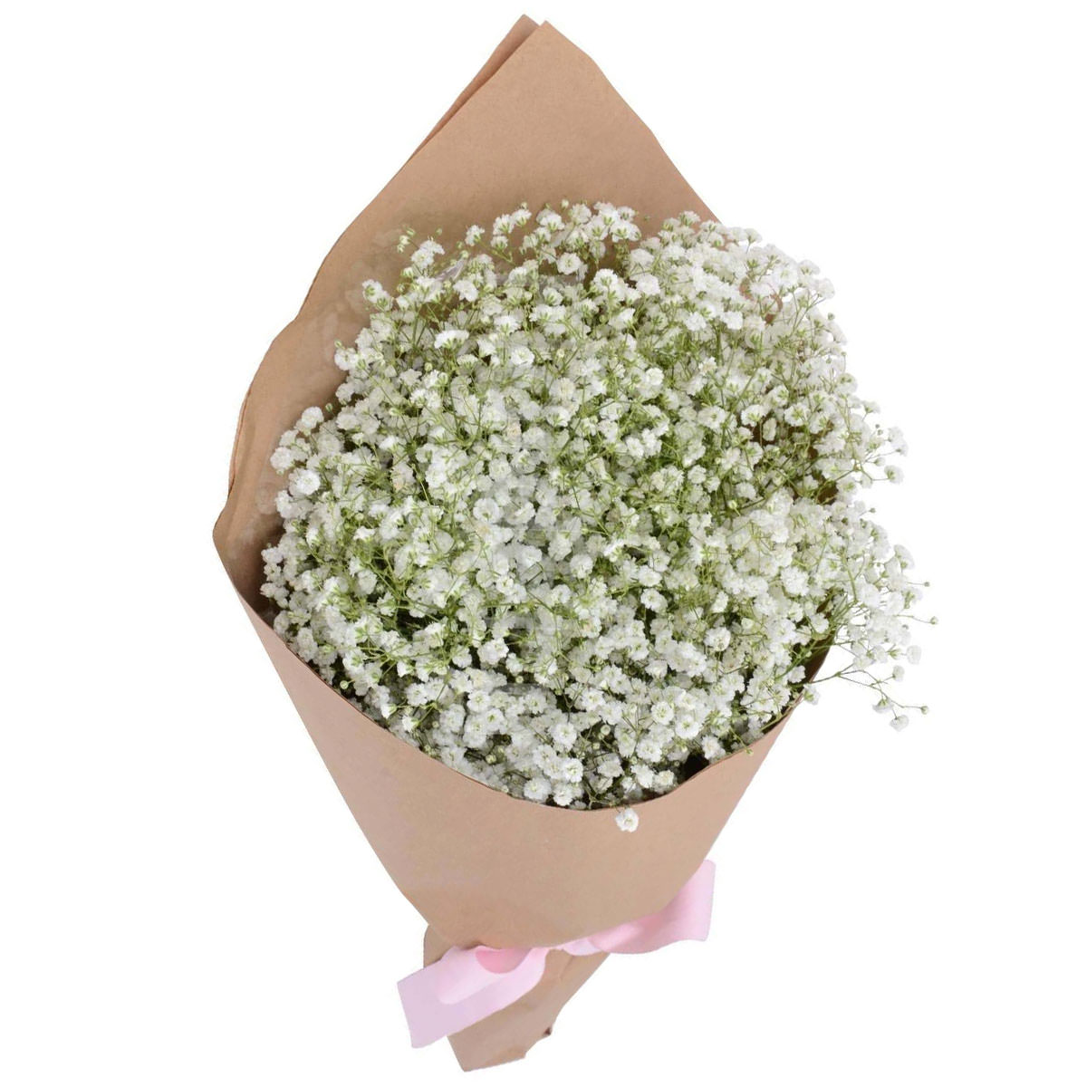 Гипсофил Гипсофил