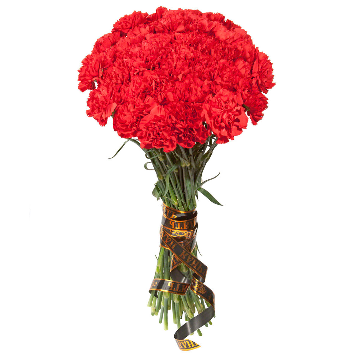 Гвоздика красная Гвоздика красная