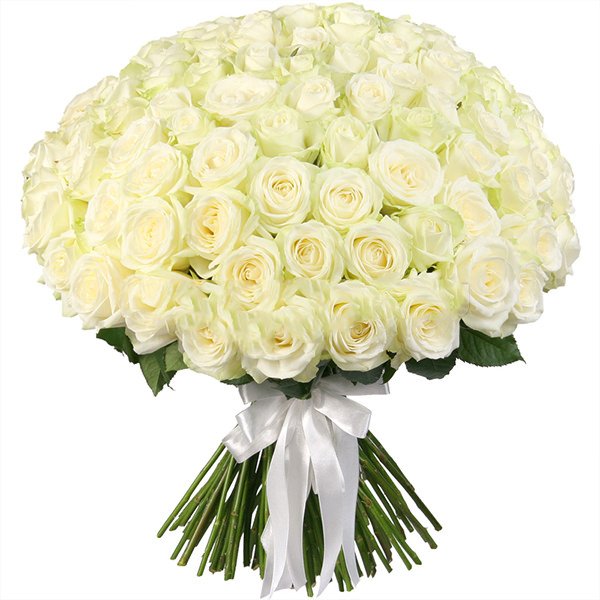 Розы Россия белые 60 Розы Россия белые 60