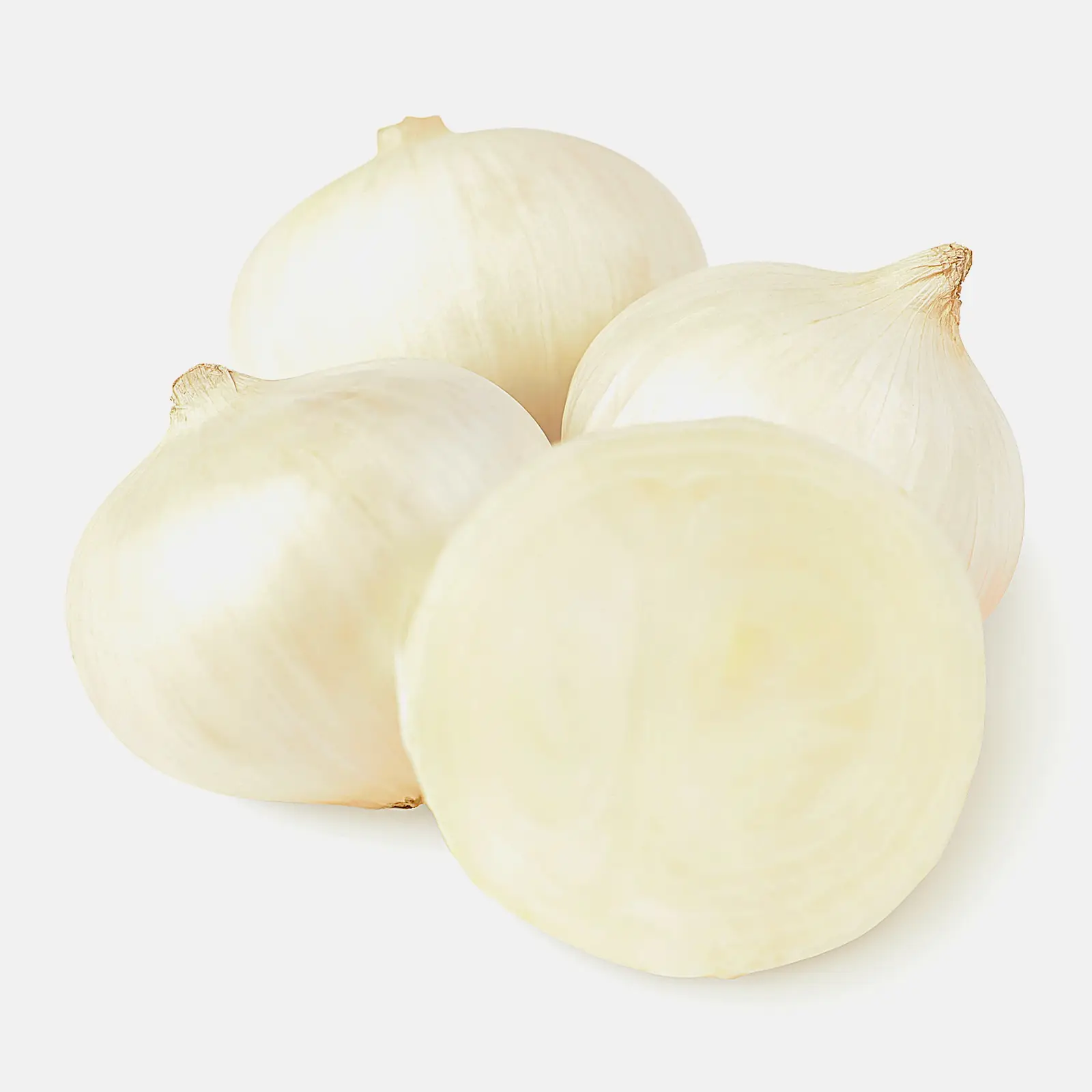 Лук белый Лук белый