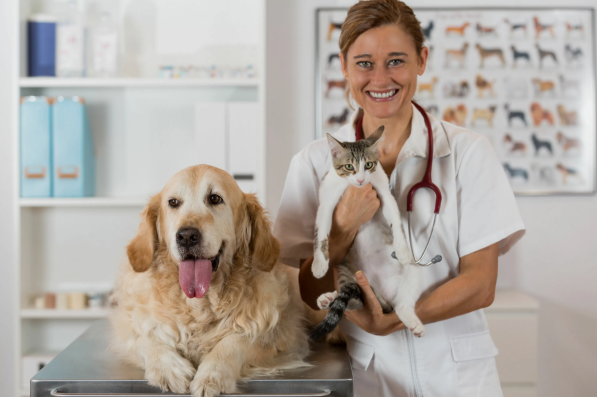  ВертиХвостик