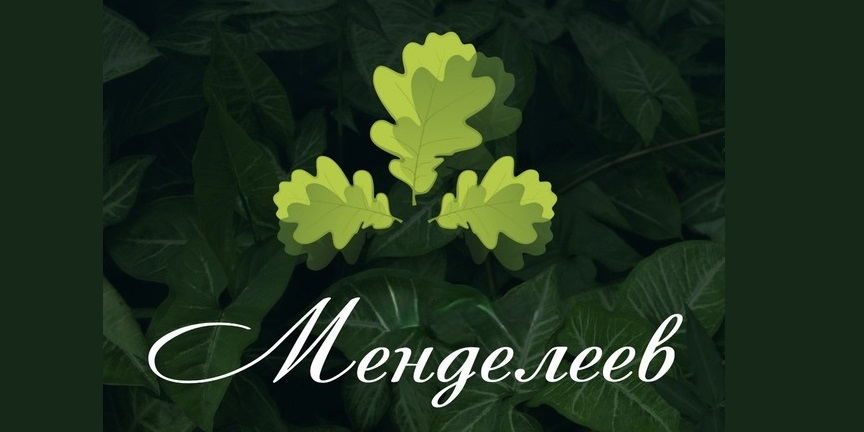 МЕНДЕЛЕЕВ, гостиница, сауна, баня