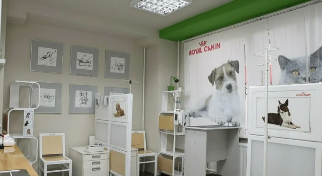  ВертиХвостик