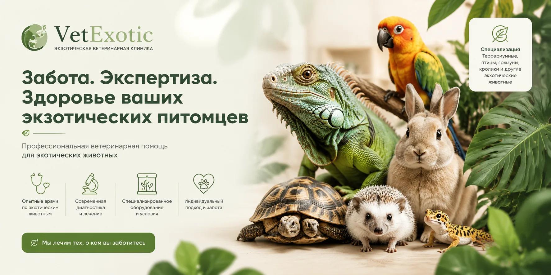 VetExotic