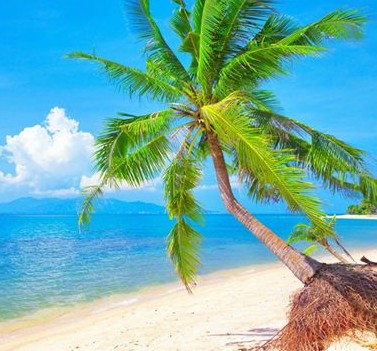 Отдых Юг России